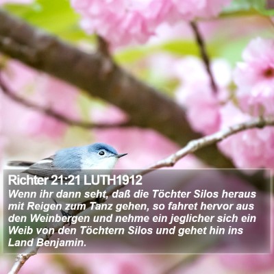 Richter 21:21 LUTH1912 Bible Verse Image