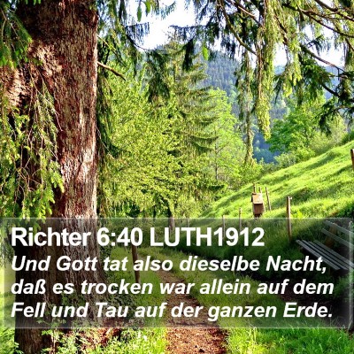 Richter 6:40 LUTH1912 Bible Verse Image