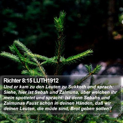 Richter 8:15 LUTH1912 Bible Verse Image