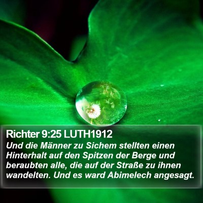 Richter 9:25 LUTH1912 Bible Verse Image