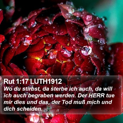 Rut 1:17 LUTH1912 Bible Verse Image