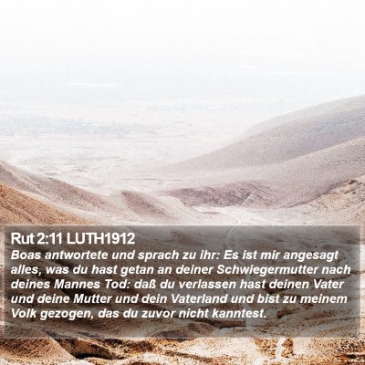 Rut 2:11 LUTH1912 Bible Verse Image