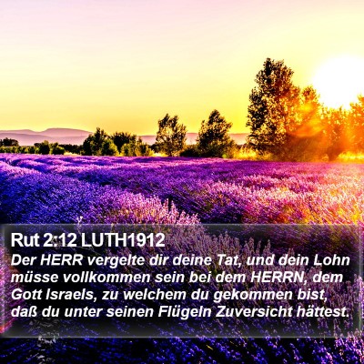 Rut 2:12 LUTH1912 Bible Verse Image