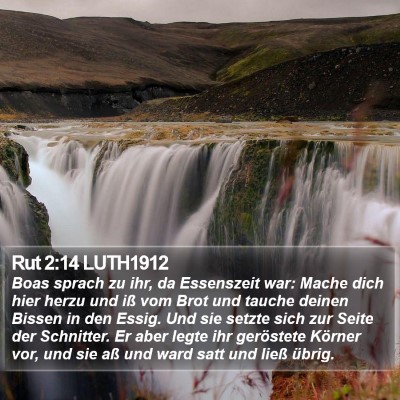 Rut 2:14 LUTH1912 Bible Verse Image