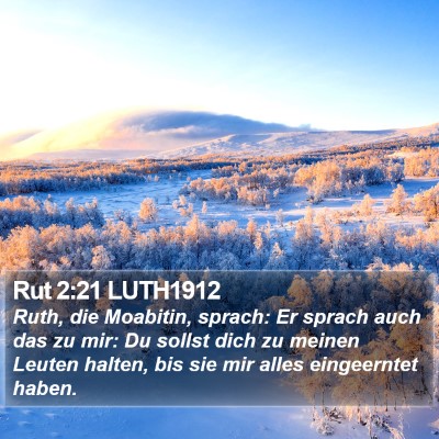Rut 2:21 LUTH1912 Bible Verse Image