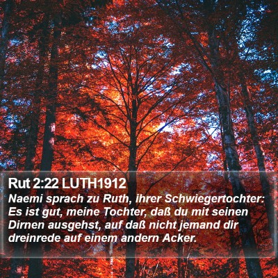 Rut 2:22 LUTH1912 Bible Verse Image