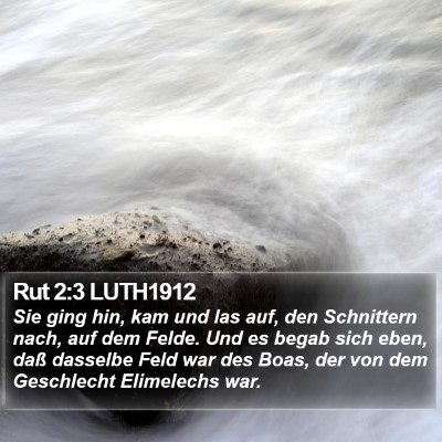 Rut 2:3 LUTH1912 Bible Verse Image