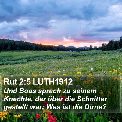 Rut 2:5 LUTH1912 Bible Verse Image