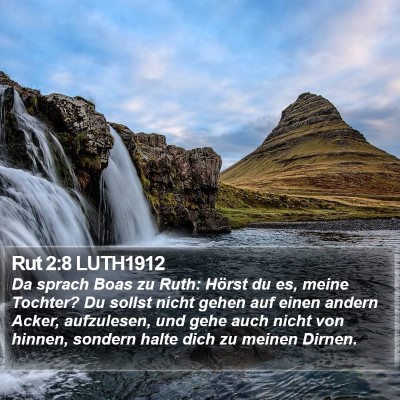 Rut 2:8 LUTH1912 Bible Verse Image