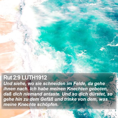 Rut 2:9 LUTH1912 Bible Verse Image