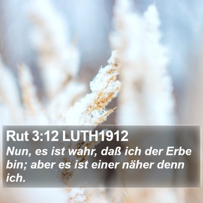 Rut 3:12 LUTH1912 Bible Verse Image
