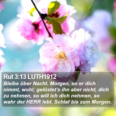 Rut 3:13 LUTH1912 Bible Verse Image