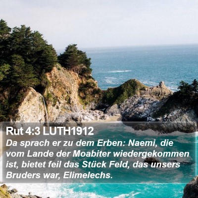 Rut 4:3 LUTH1912 Bible Verse Image
