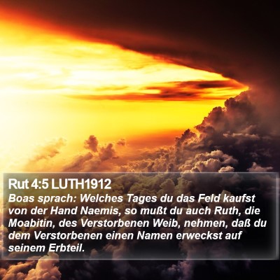 Rut 4:5 LUTH1912 Bible Verse Image