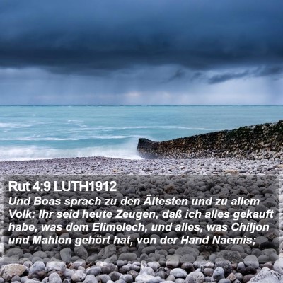 Rut 4:9 LUTH1912 Bible Verse Image