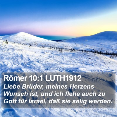 Römer 10:1 LUTH1912 Bible Verse Image