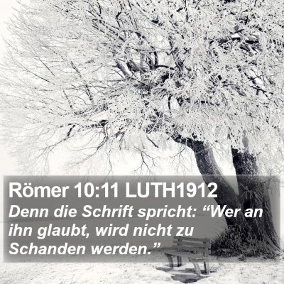 Römer 10:11 LUTH1912 Bible Verse Image
