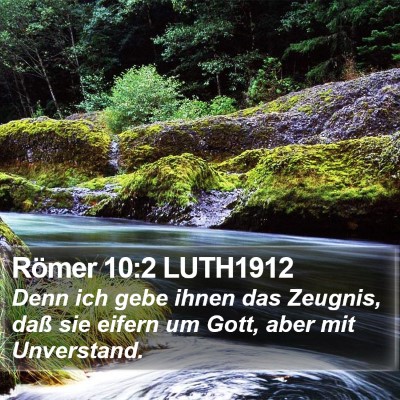 Römer 10:2 LUTH1912 Bible Verse Image