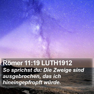 Römer 11:19 LUTH1912 Bible Verse Image