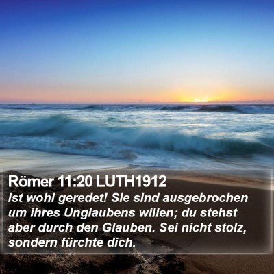 Römer 11:20 LUTH1912 Bible Verse Image