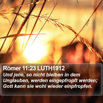 Römer 11:23 LUTH1912 Bible Verse Image