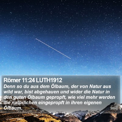 Römer 11:24 LUTH1912 Bible Verse Image
