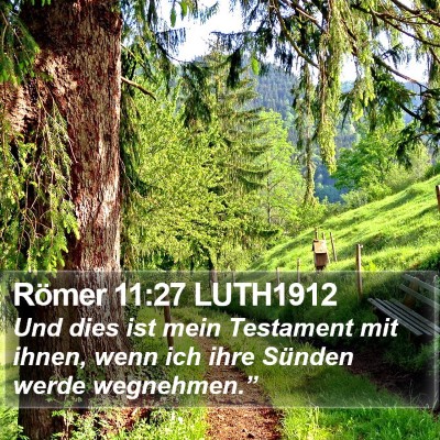 Römer 11:27 LUTH1912 Bible Verse Image