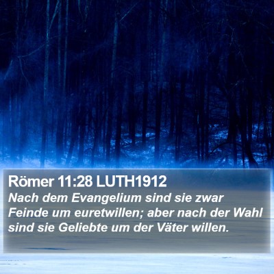 Römer 11:28 LUTH1912 Bible Verse Image