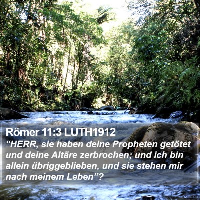 Römer 11:3 LUTH1912 Bible Verse Image