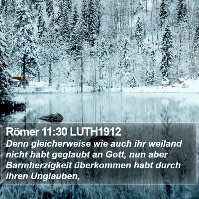 Römer 11:30 LUTH1912 Bible Verse Image