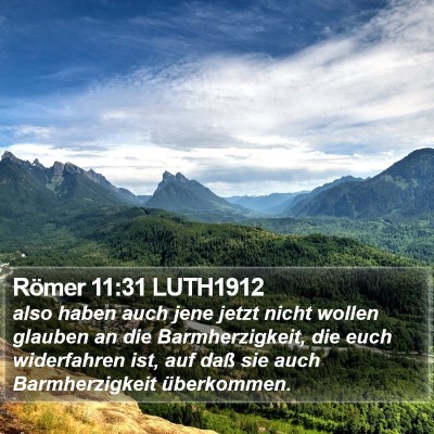 Römer 11:31 LUTH1912 Bible Verse Image