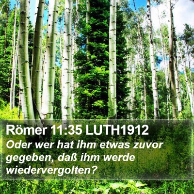 Römer 11:35 LUTH1912 Bible Verse Image