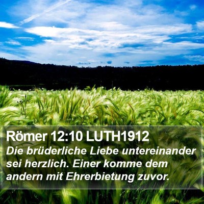 Römer 12:10 LUTH1912 Bible Verse Image
