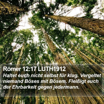 Römer 12:17 LUTH1912 Bible Verse Image