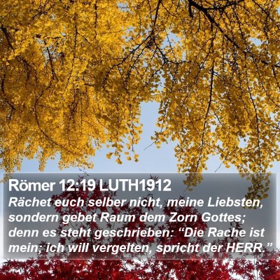 Römer 12:19 LUTH1912 Bible Verse Image