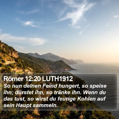 Römer 12:20 LUTH1912 Bible Verse Image