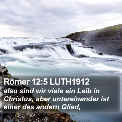 Römer 12:5 LUTH1912 Bible Verse Image