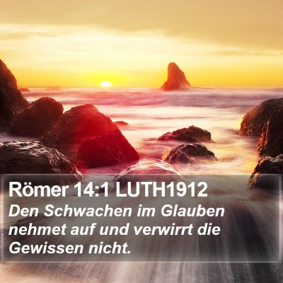 Römer 14:1 LUTH1912 Bible Verse Image