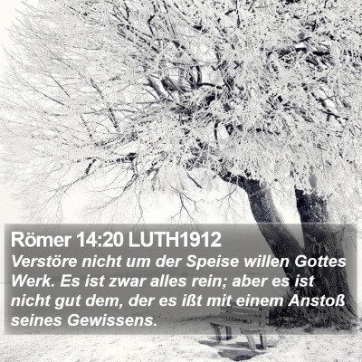 Römer 14:20 LUTH1912 Bible Verse Image
