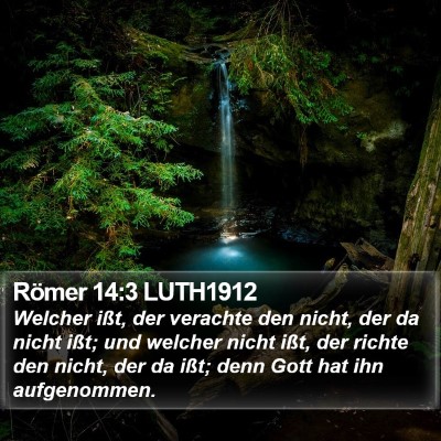 Römer 14:3 LUTH1912 Bible Verse Image