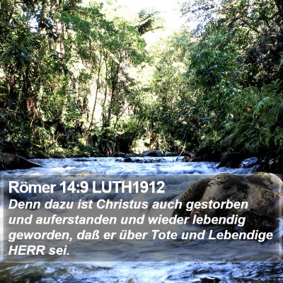 Römer 14:9 LUTH1912 Bible Verse Image