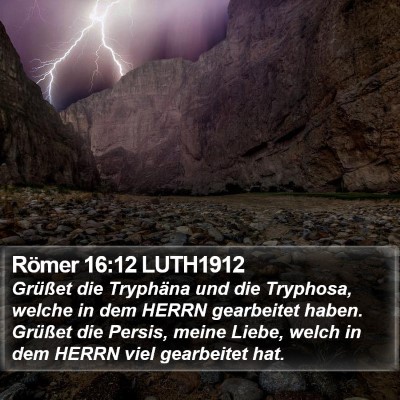 Römer 16:12 LUTH1912 Bible Verse Image