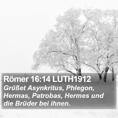 Römer 16:14 LUTH1912 Bible Verse Image