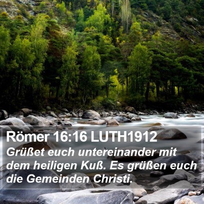 Römer 16:16 LUTH1912 Bible Verse Image