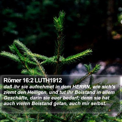 Römer 16:2 LUTH1912 Bible Verse Image