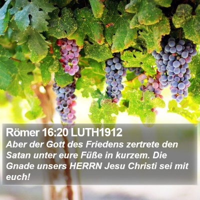 Römer 16:20 LUTH1912 Bible Verse Image
