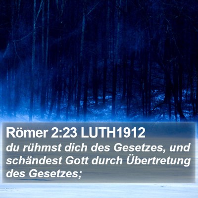 Römer 2:23 LUTH1912 Bible Verse Image