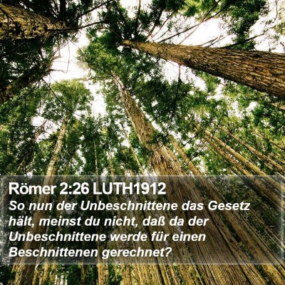 Römer 2:26 LUTH1912 Bible Verse Image