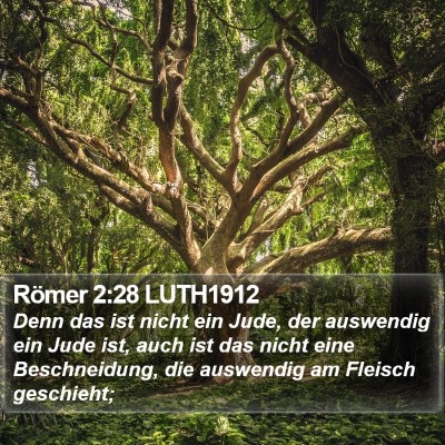 Römer 2:28 LUTH1912 Bible Verse Image