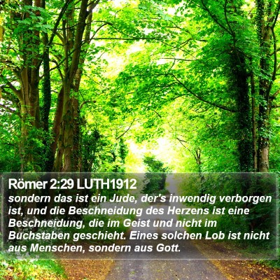Römer 2:29 LUTH1912 Bible Verse Image